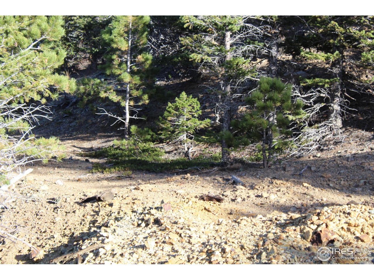 0 Pennsylvania Gulch Road Boulder, CO 80302 - Photo 7 of 18