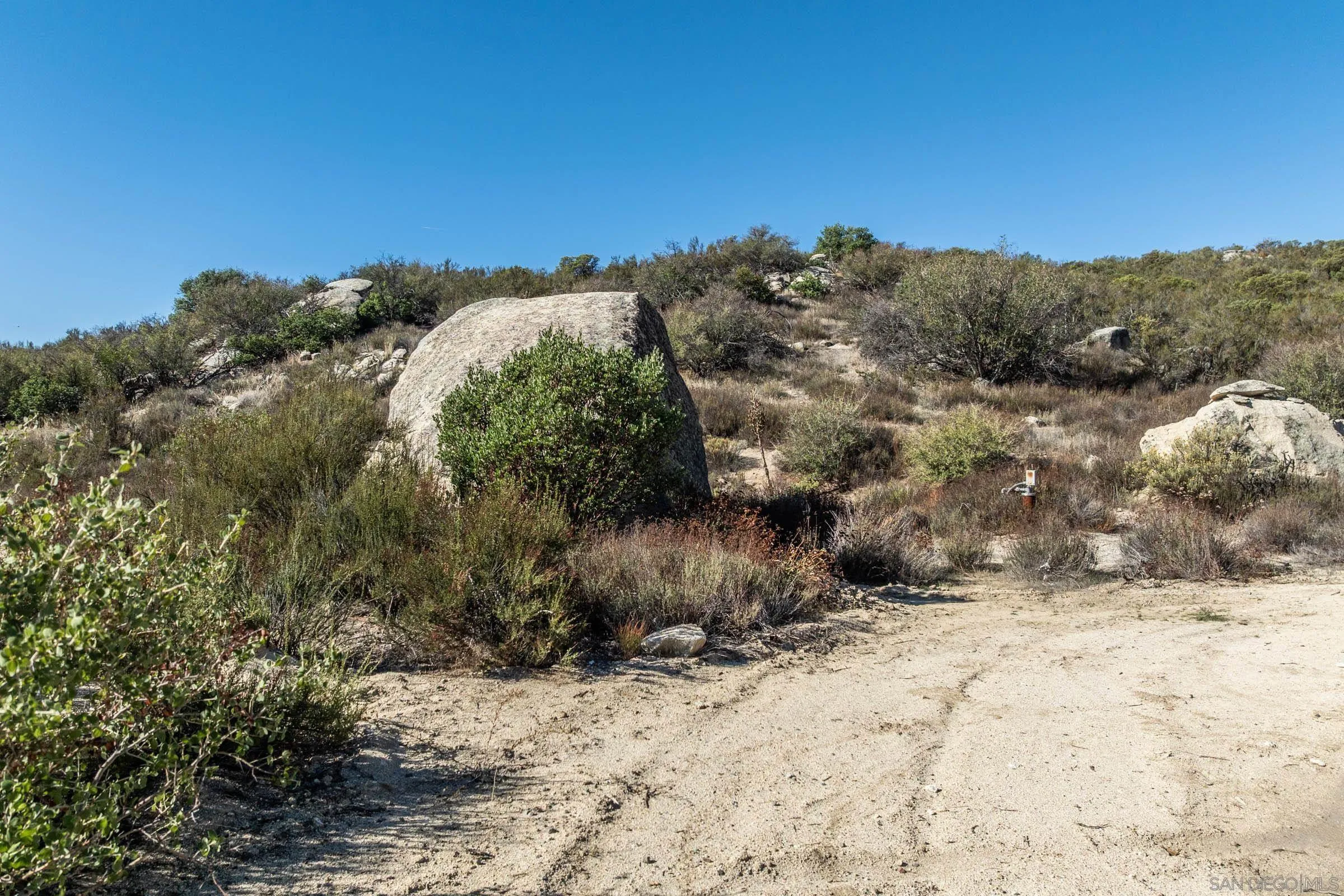 35613 Stagecoach Springs Road, Unit 466 Pine Valley, CA 91962 - Photo 6 of 28 a view of a yard with a tree