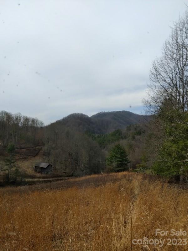 91 Pound Mill Road Marshall, NC 28753 - Photo 15 of 28 Gallery Image 15