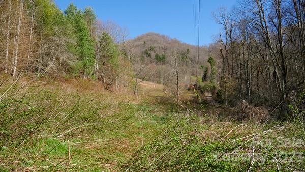 91 Pound Mill Road Marshall, NC 28753 - Photo 18 of 28 Gallery Image 18