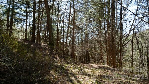 91 Pound Mill Road Marshall, NC 28753 - Photo 23 of 28 Gallery Image 23