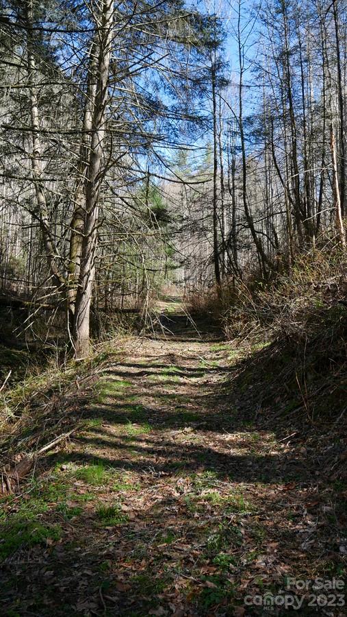 91 Pound Mill Road Marshall, NC 28753 - Photo 24 of 28 Gallery Image 24