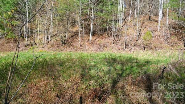91 Pound Mill Road Marshall, NC 28753 - Photo 8 of 28 Gallery Image 8