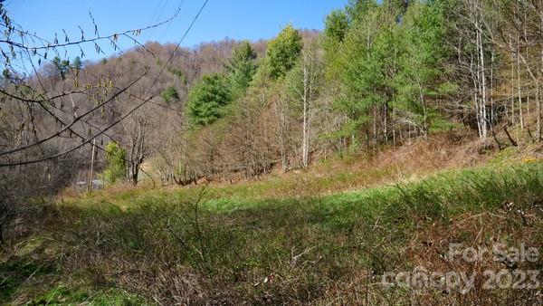 91 Pound Mill Road Marshall, NC 28753 - Photo 9 of 28 Gallery Image 9