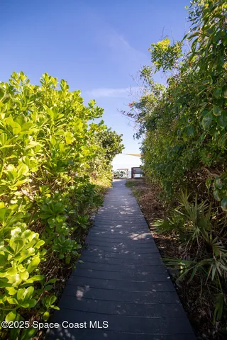 a view of a pathway with a tree