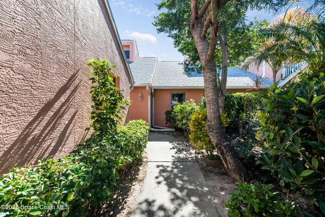 a view of a pathway with plants