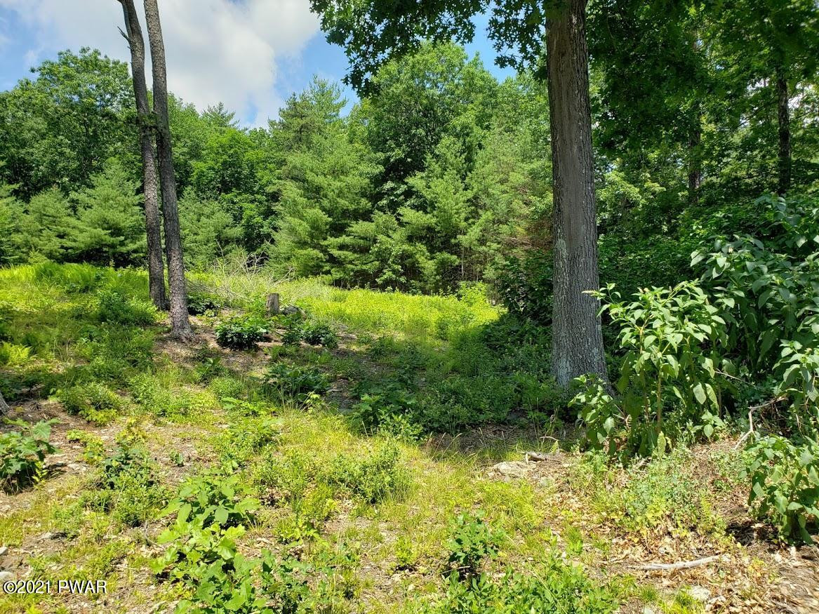 Ridge Road Dingmans Ferry, PA 18328 - Photo 2 of 2