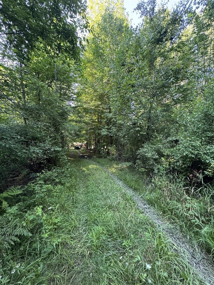 East Procunier Road Harrisville, MI 48740 - Photo 29 of 78 Gallery Image 29
