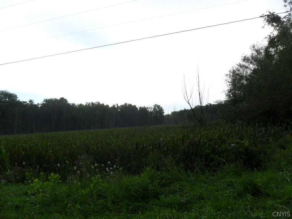 0 Lyboldt Road Hannibal, NY 13074 - Photo 1 of 1