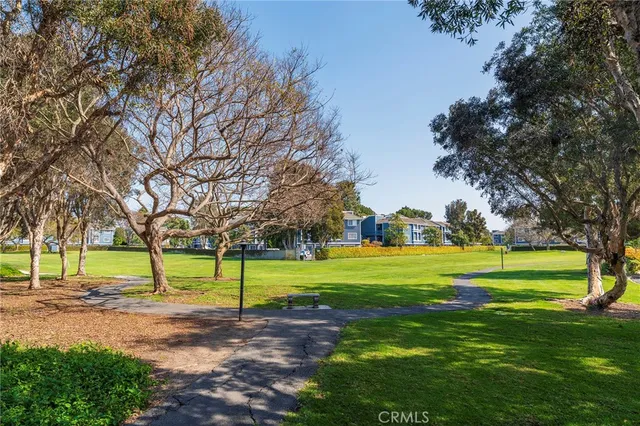a view of park with large trees