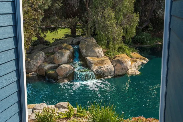 a view of a garden with plants and large trees