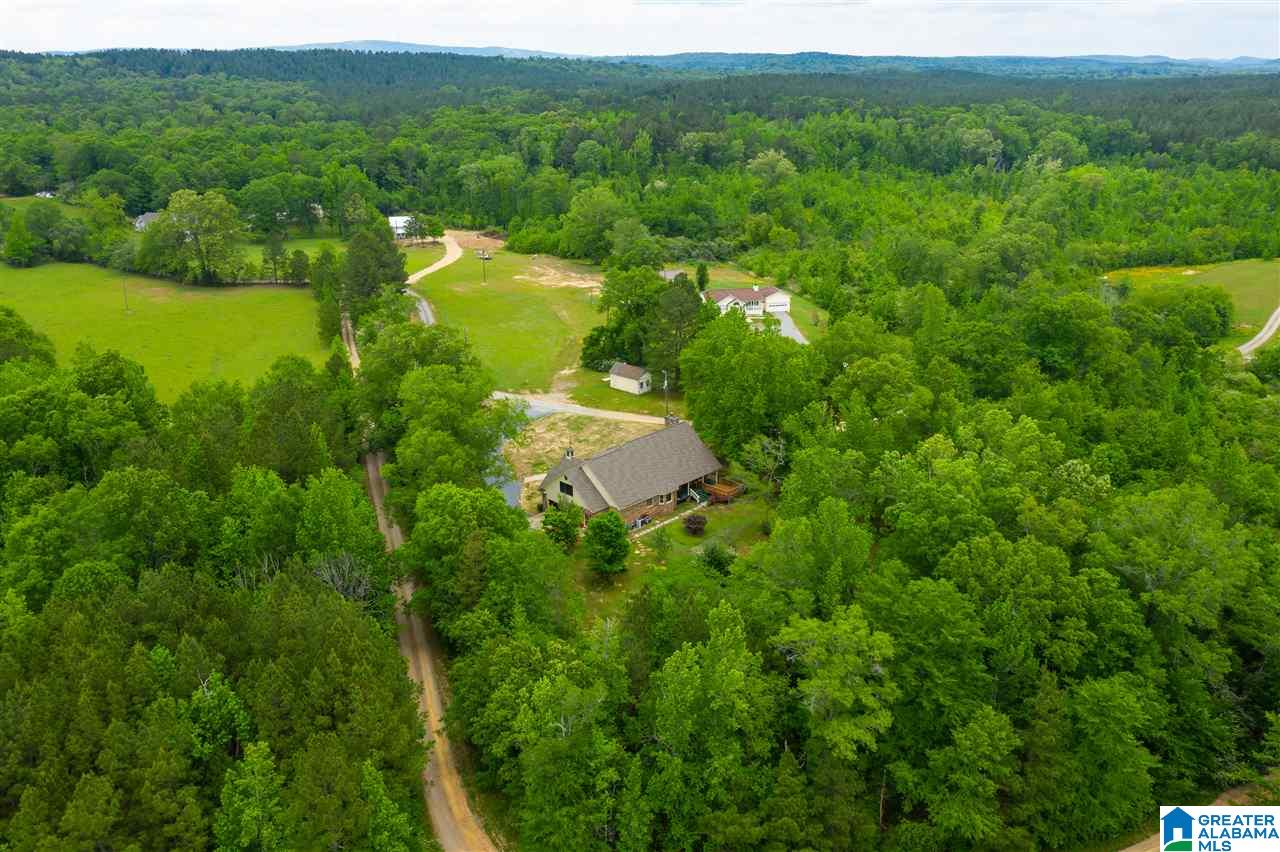 334 Old Eason Road Pell City, AL 35128 - Photo 36 of 47