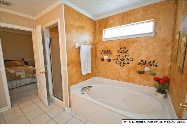 9216 Rachel Shea Avenue Olive Branch, MS 38654 - Photo 6 of 30 Additional Photo