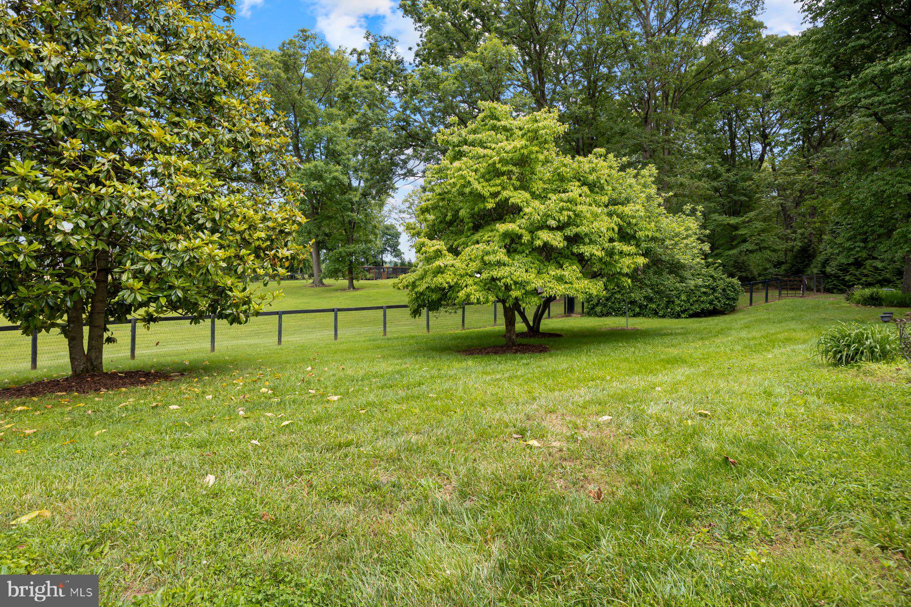 13725 Oster Farm Road West Friendship, MD 21794 - Photo 40 of 45 Picturesque Backyard Views