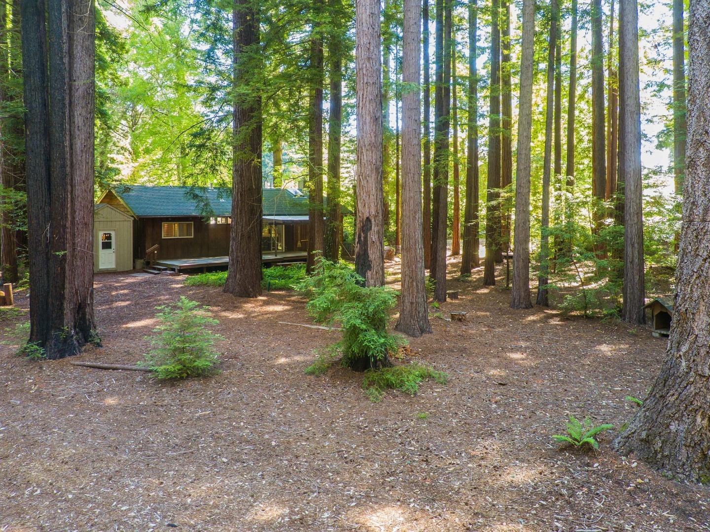 6790 Bonny Doon Road Santa Cruz, CA 95060 - Photo 44 of 50 Gallery Image 44