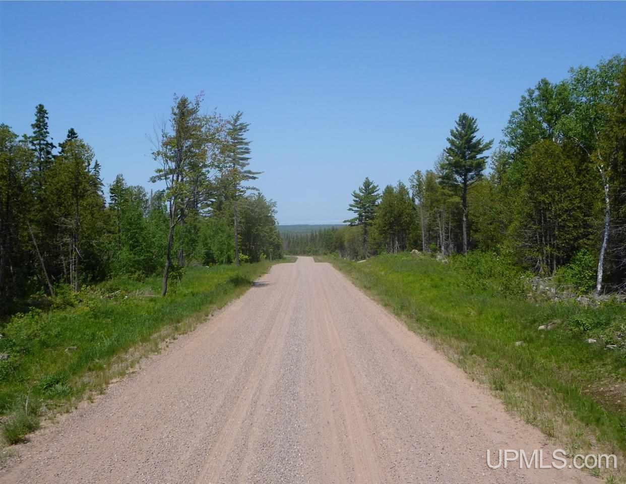 Tbd Gratiot River Road Iron Mountain, MI 49801 - Photo 1 of 11