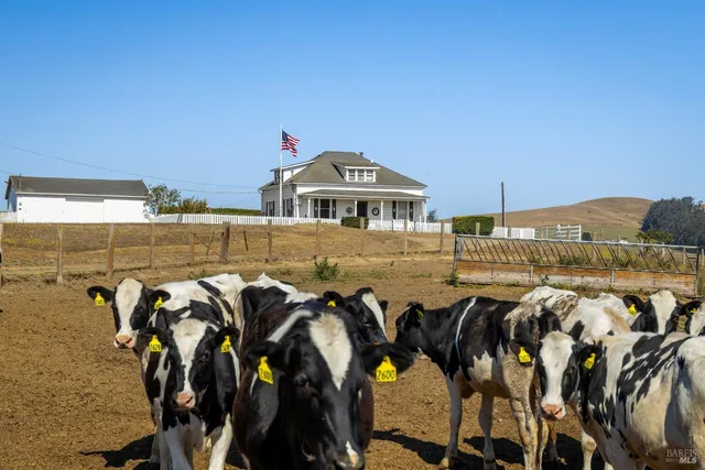 $1,495,000 | 14550 Valley Ford Estero Road, Valley Ford, CA 94972