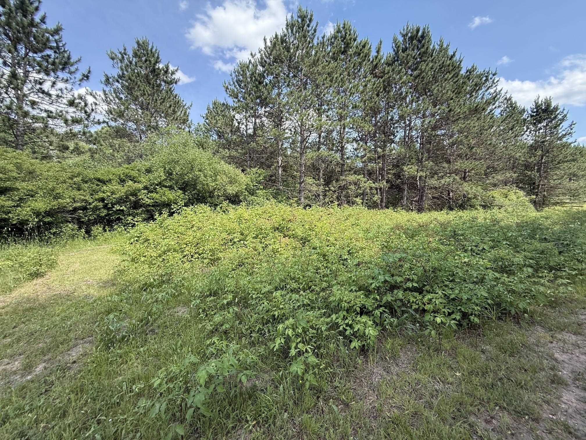 1225 West Sun Oil Road Gladwin, MI 48624 - Photo 36 of 46