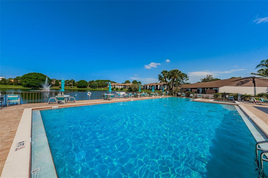 2687 Pine Ridge Way South, Unit B2 Palm Harbor, FL 34684 - Photo 52 of 68 a view of a swimming pool and outdoor space