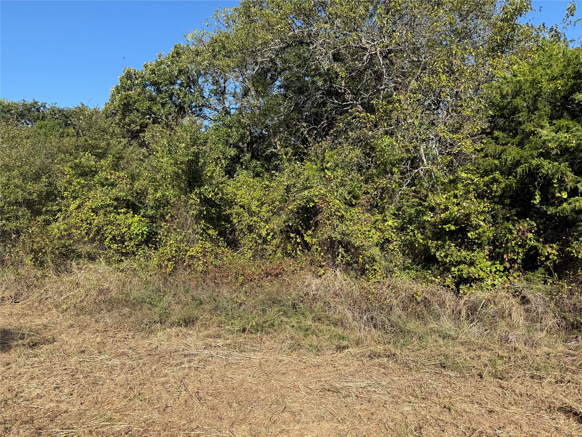 Private Road Ada, OK 74820 - Photo 1 of 1 Additional content