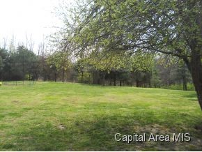 17477 Old Fairgrounds Road Petersburg, IL 62675 - Photo 20 of 24 Gallery Image 20