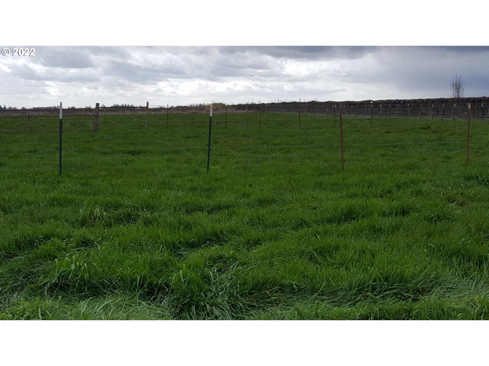 8908 Parr Road Northeast Gervais, OR 97026 - Photo 11 of 17