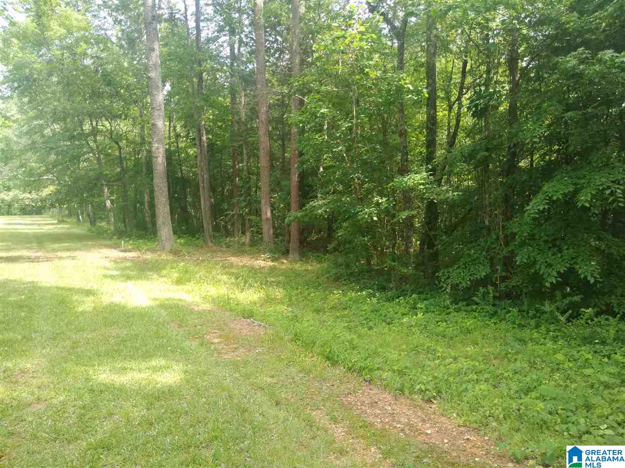 7153 Self Road, Unit 16 000 Pinson, AL 35126 - Photo 18 of 31