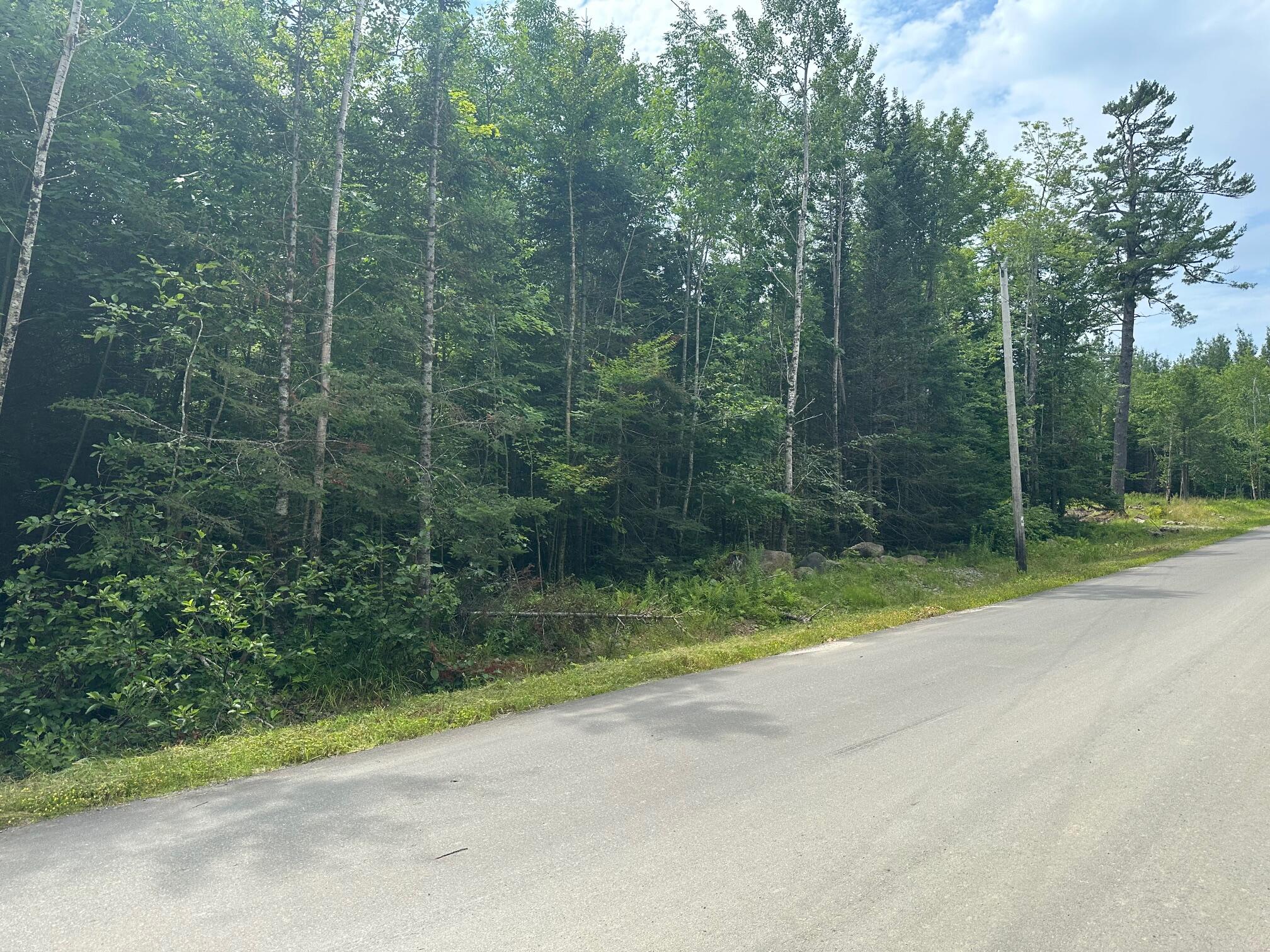 Lot 7 Winkumpaugh Road Orland, ME 04472 - Photo 7 of 9 pic 7