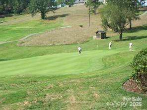 1116 High Vista Drive Mills River, NC 28759 - Photo 38 of 40 a backyard of a house with lots of green space and lake view