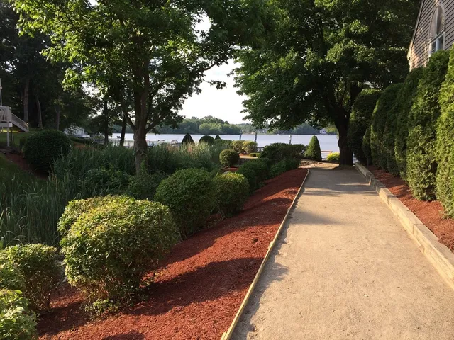 a view of a park with large trees