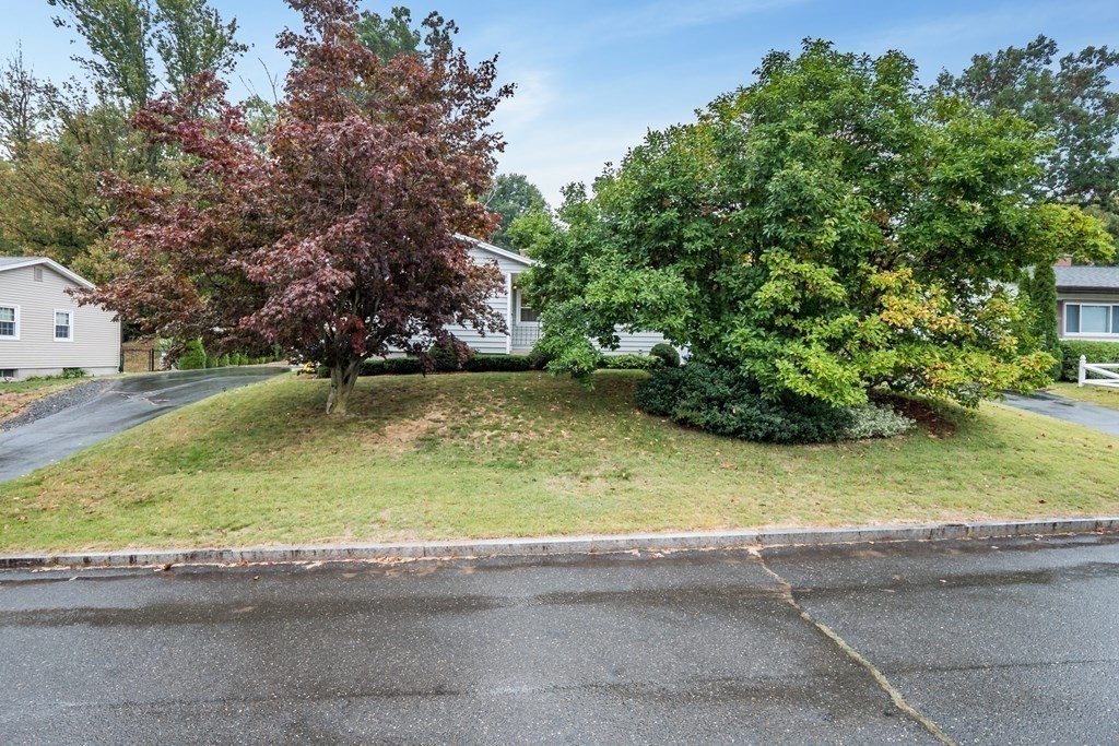 135 Garnet Street Springfield, MA 01129 - Photo 27 of 39