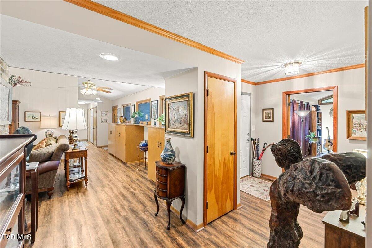 112 Spruce Street Greeneville, TN 37745 - Photo 20 of 102 093-128A8735