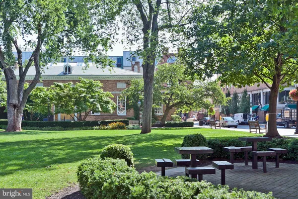 a view of a garden with chairs and table in the garden