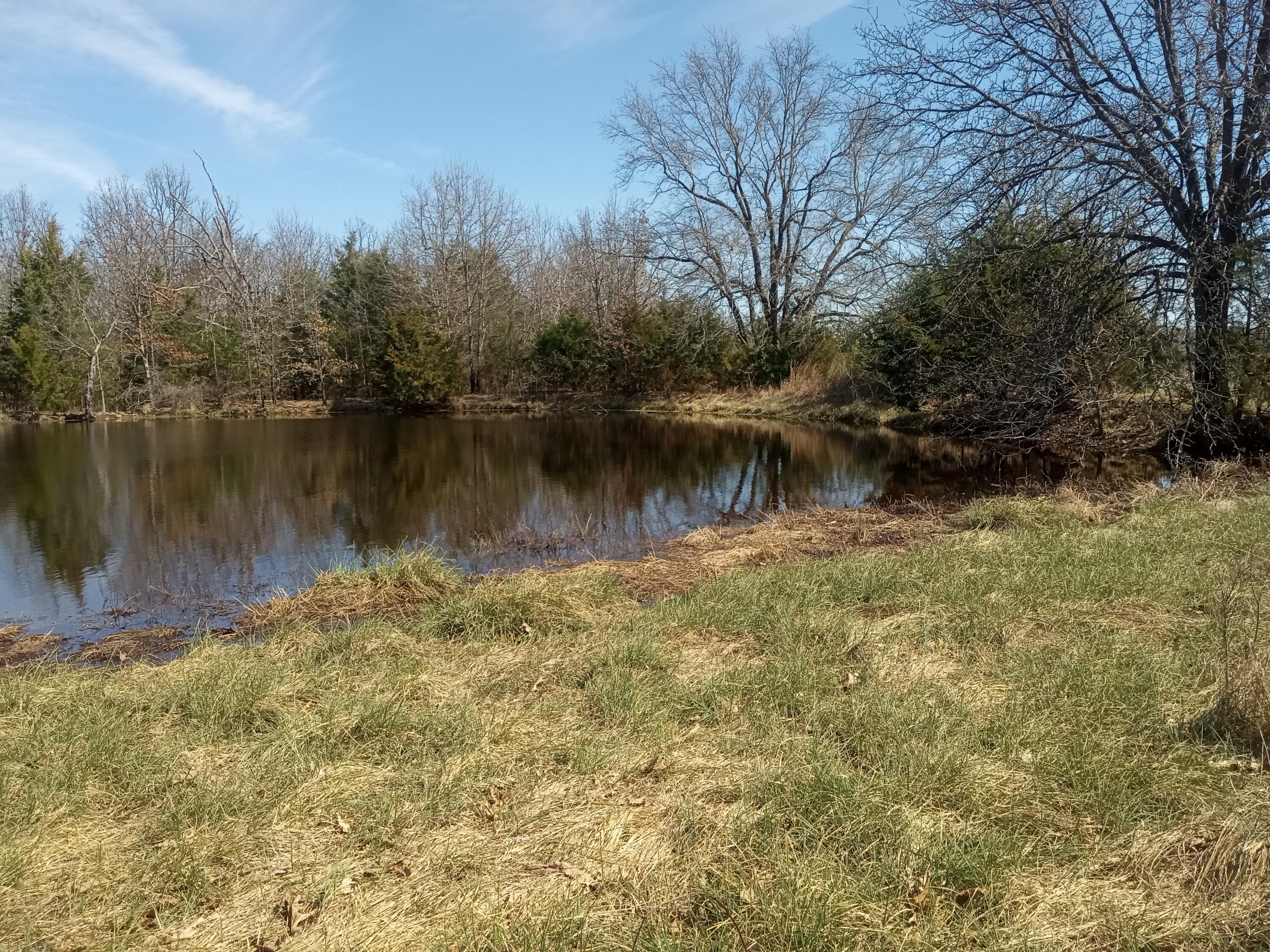 97 Three Springs Loop Long Lane, MO 65590 - Photo 15 of 20 IMG_20260318_121659131