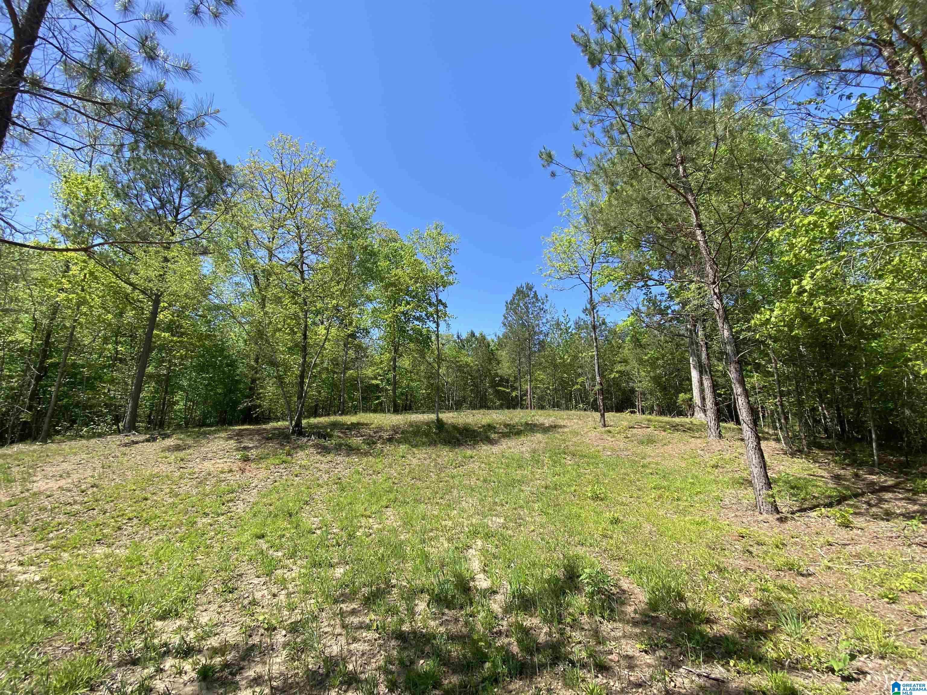 8346 Serene Lake Road McCalla, AL 35111 - Photo 21 of 24