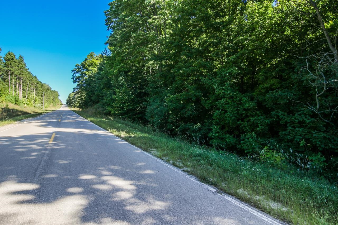 A3 Wallaker Road, Unit LOT: A3 Benzonia, MI 49616 - Photo 15 of 17