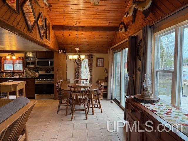 217 East Lake Emily Road Crystal Falls, MI 49920 - Photo 6 of 58