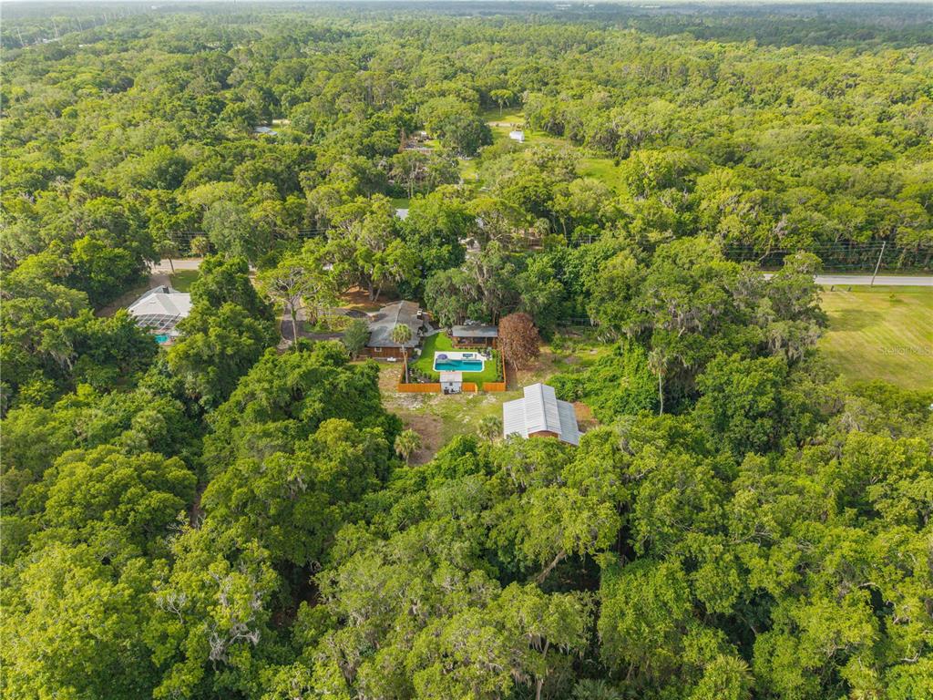 233 West Ariel Road Edgewater, FL 32141 - Photo 77 of 81