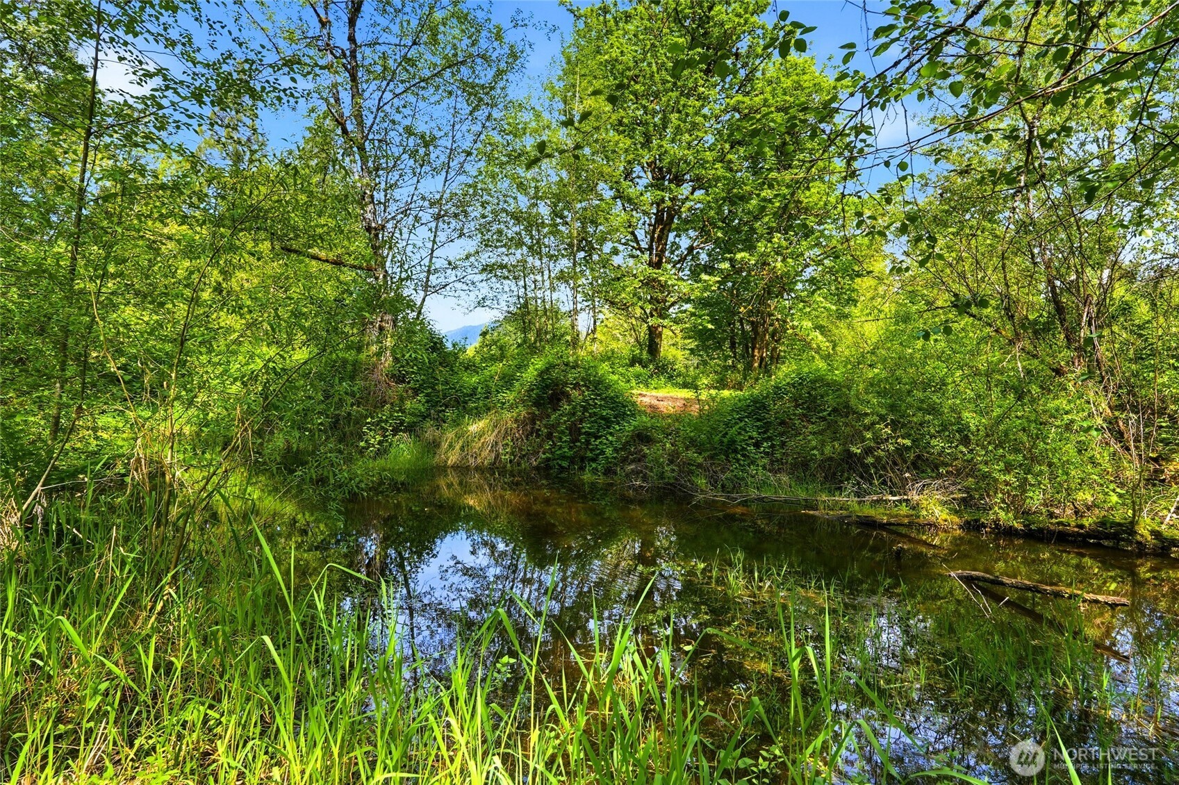 21716 State Rte 530 Northeast Arlington, WA 98223 - Photo 9 of 38 a view of a lake with a tree