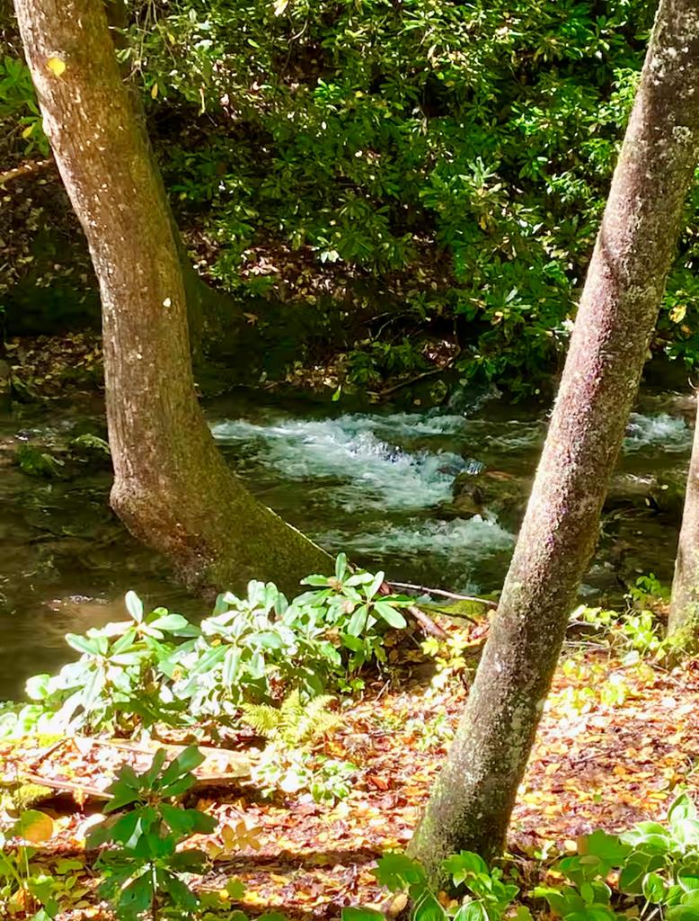 1554 Creek Road Hiawassee, GA 30546 - Photo 13 of 20