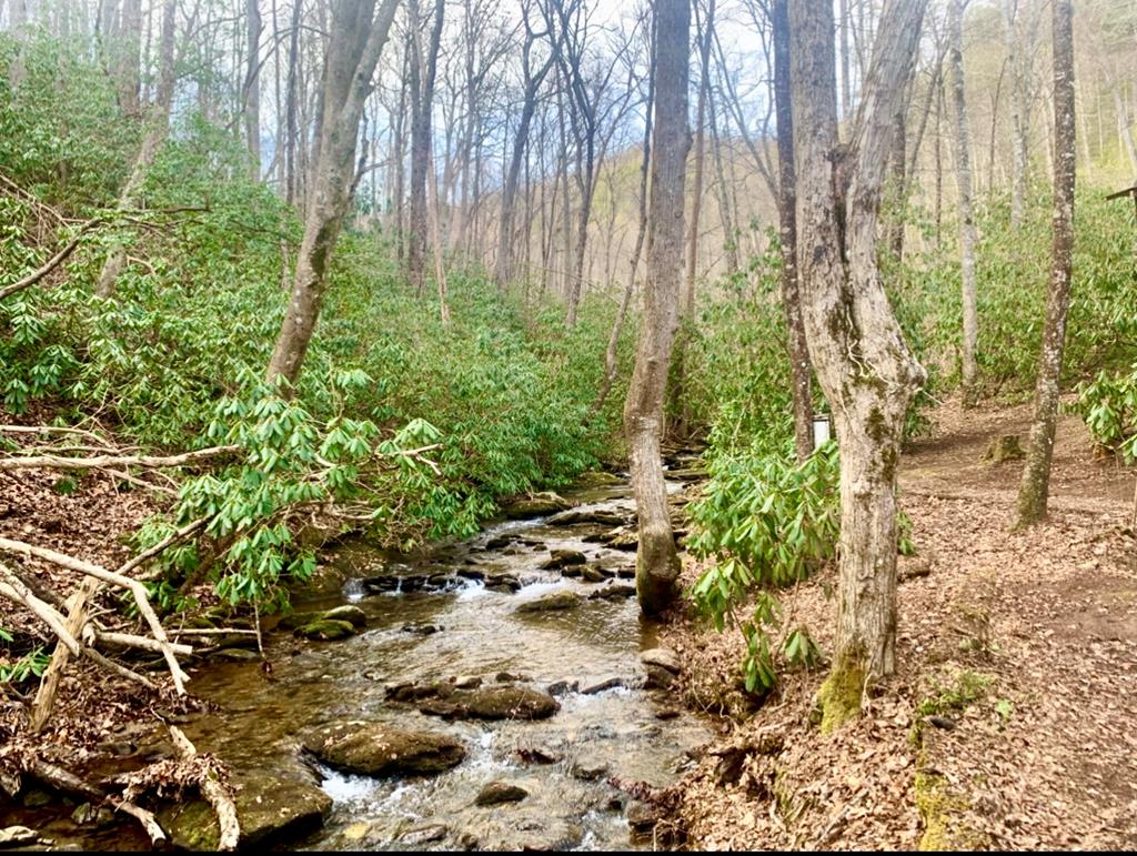 1554 Creek Road Hiawassee, GA 30546 - Photo 16 of 20