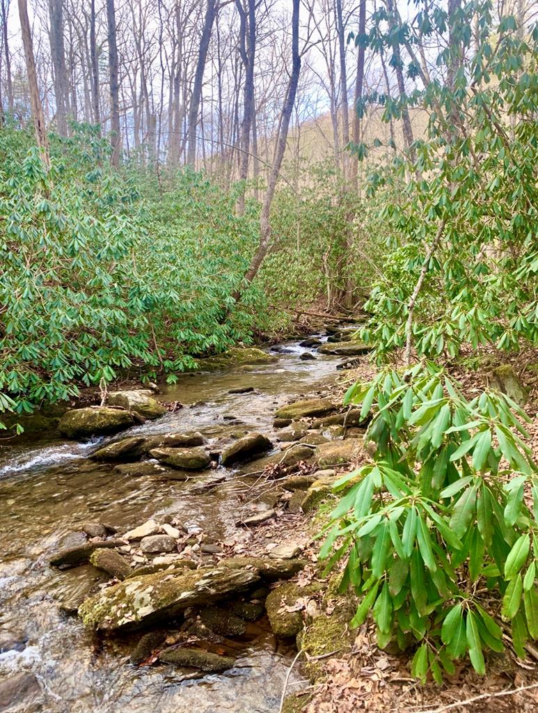 1554 Creek Road Hiawassee, GA 30546 - Photo 17 of 20