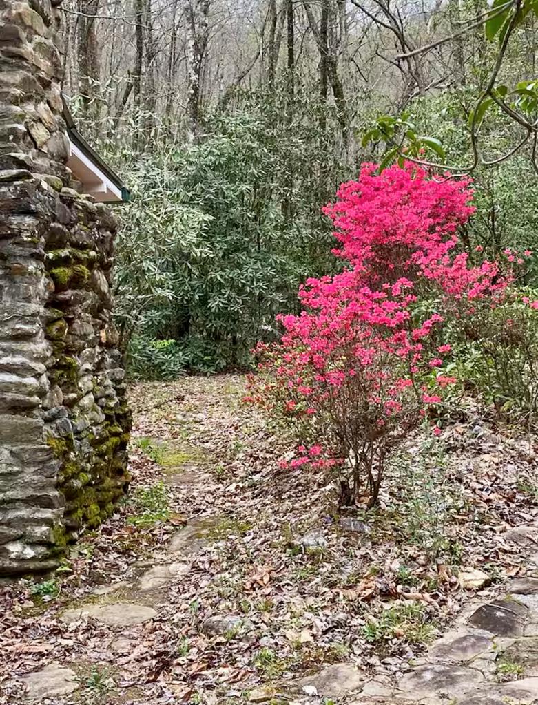 1554 Creek Road Hiawassee, GA 30546 - Photo 18 of 20