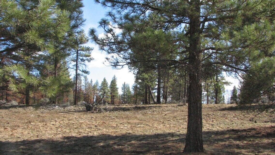 0 Canadian Honker Lane, Unit 9 Chiloquin, OR 97624 - Photo 2 of 11 20250526211927665152000000-o