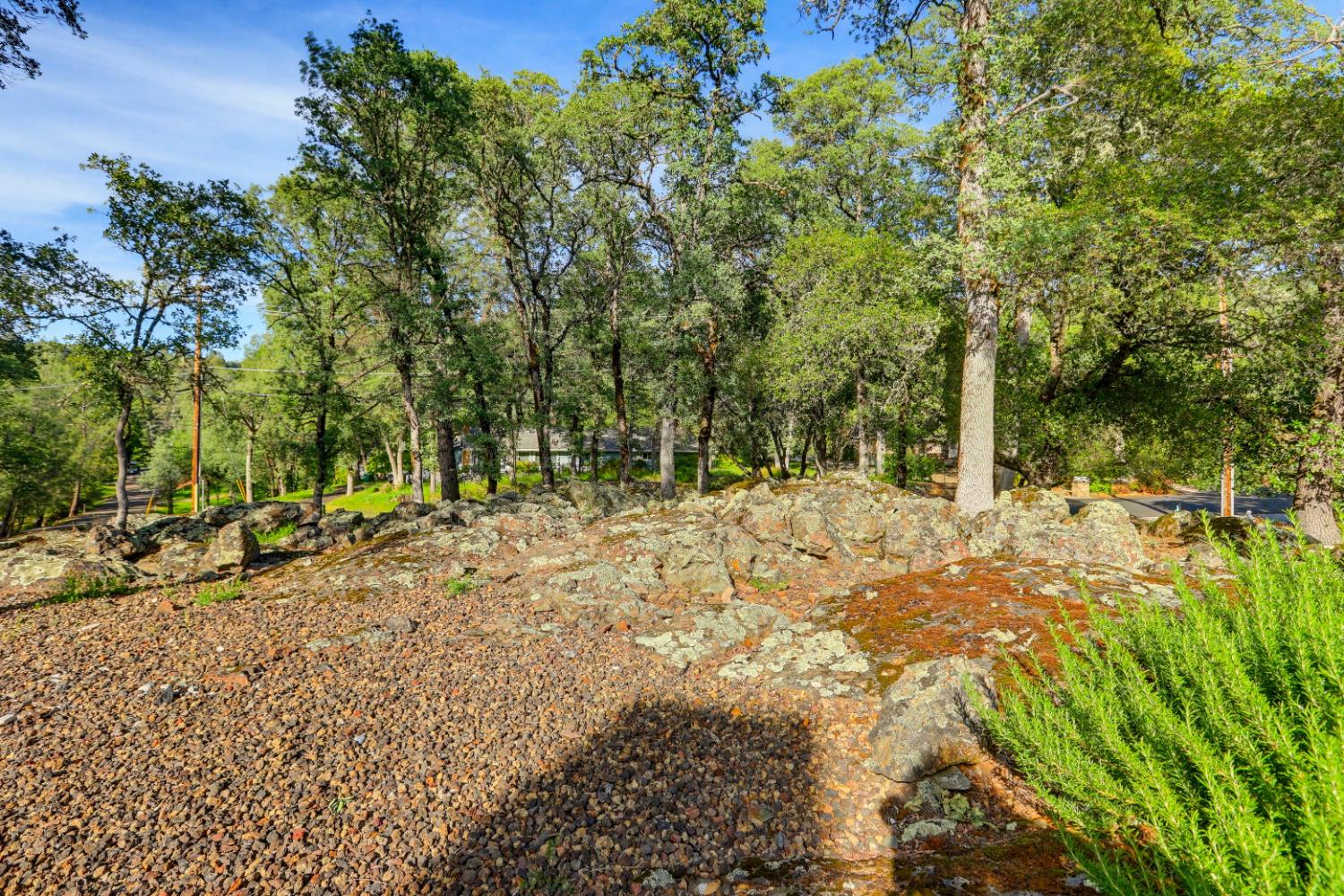 12025 Wanderer Road Auburn, CA 95602 - Photo 69 of 98