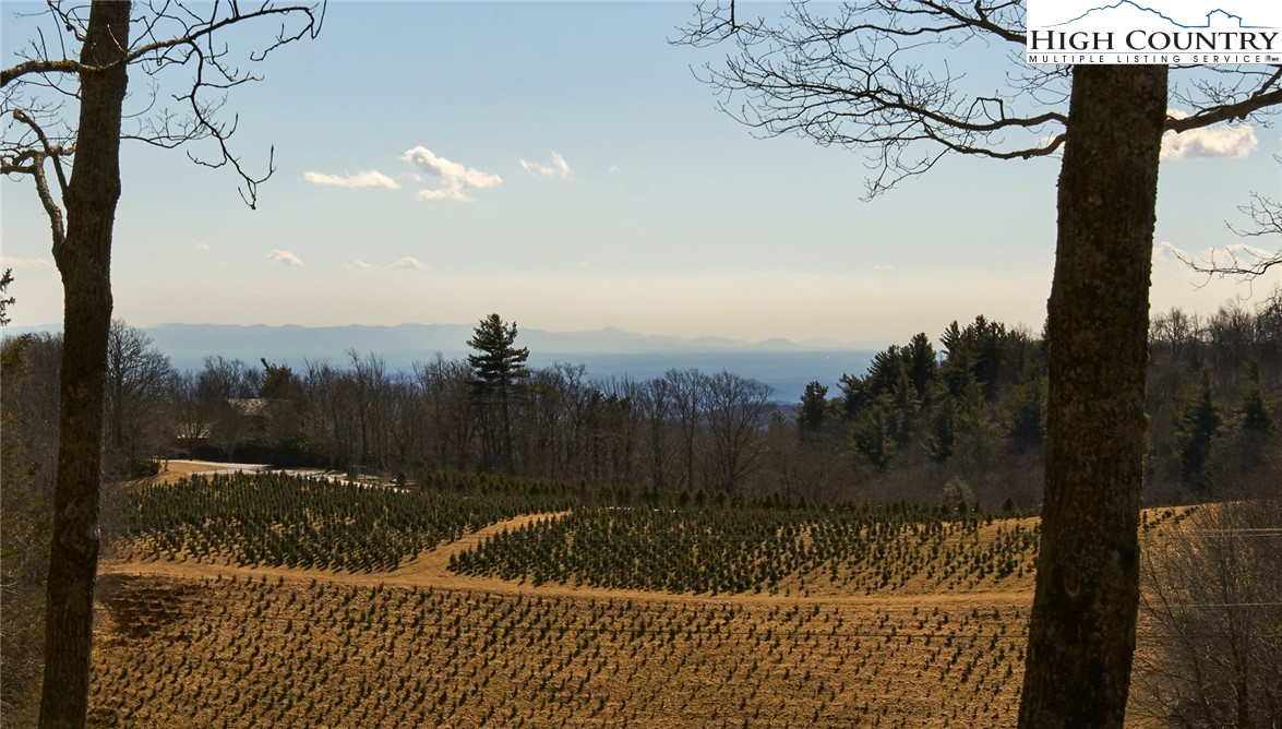 125 Grouse Run Road Boone, NC 28607 - Photo 6 of 46 Gallery Image 6