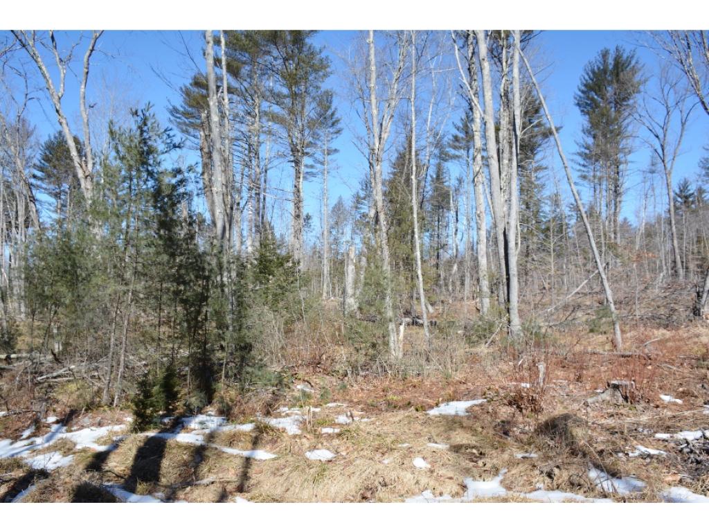 0 Olde Farmington Road Center Barnstead, NH 03225 - Photo 12 of 16