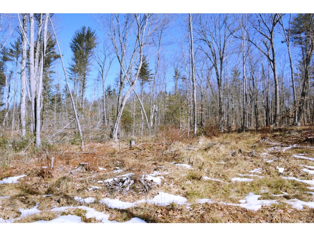 0 Olde Farmington Road Center Barnstead, NH 03225 - Photo 13 of 16