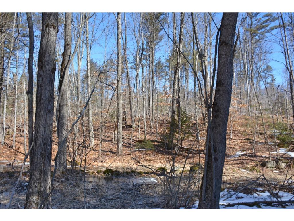 0 Olde Farmington Road Center Barnstead, NH 03225 - Photo 14 of 16