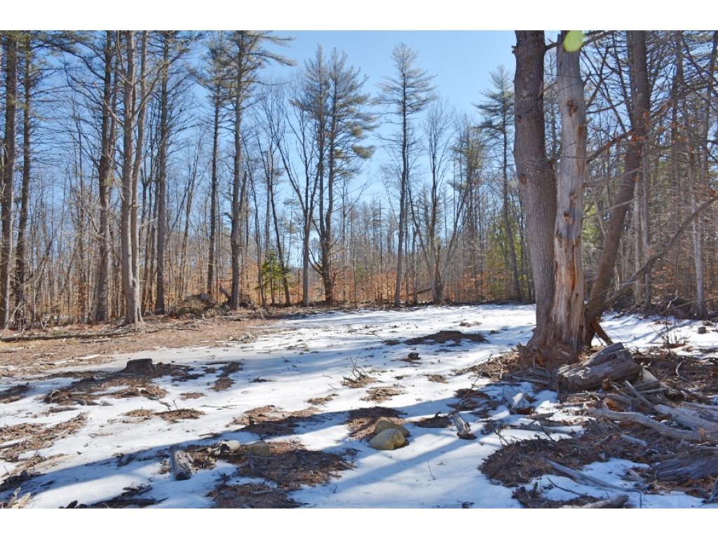 0 Olde Farmington Road Center Barnstead, NH 03225 - Photo 7 of 16